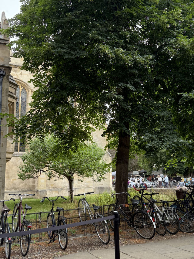 🏛️ Cambridge: A Day Among Dreaming Spires and Timeless Traditions