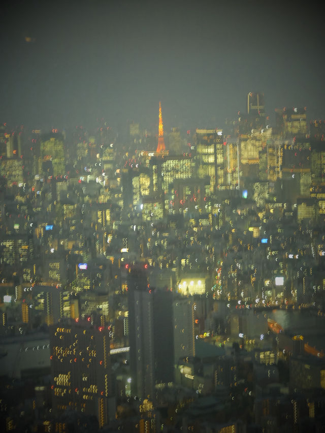 Japan Itinerary: Savor tradition and flavors in Tokyo’s east side! 