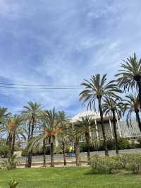 Valencia: Sun, History & Mediterranean Vibes ☀️🏛️🌊