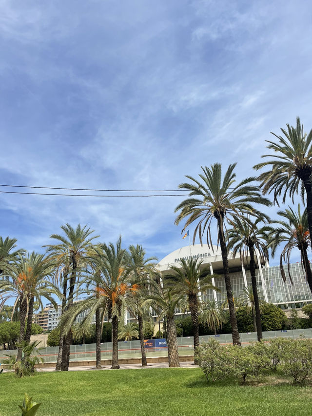 Valencia: Sun, History & Mediterranean Vibes ☀️🏛️🌊 Valencia: Sun, History & Mediterranean Vibes ☀️🏛️🌊