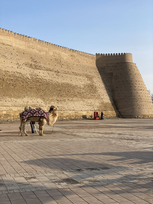 Uzbekistan Trip: Tashkent Vibes Among the Temples!