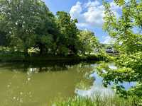 Nature at Its Best
