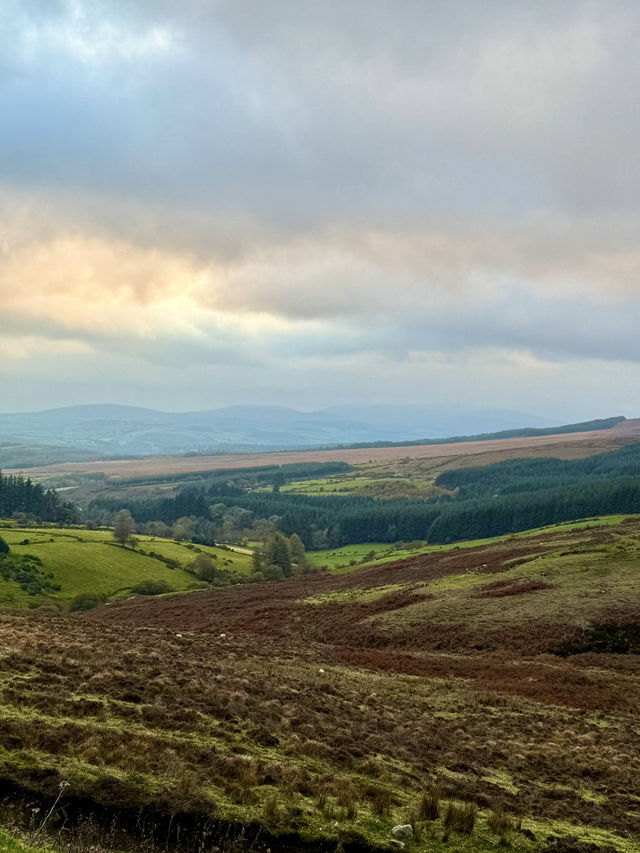 Early Morning Wander