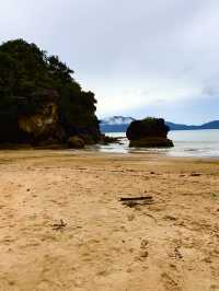 Исследуем Bako