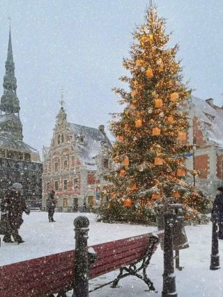 ✨ Baltic Charm: A Riga Christmas Market Itinerary