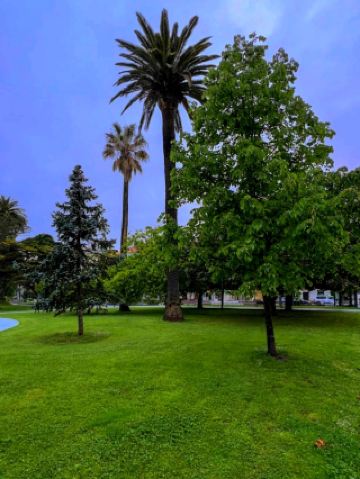 도심 속 오아시스, 산탄데르에서의 오후 산책