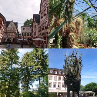Mainz in Germany, charming botanical garden