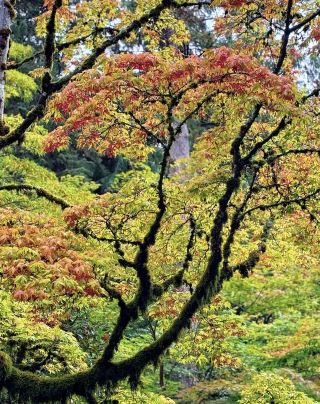 Some places remind you how beautiful it is to slow down and reconnect with nature. 🌿✨