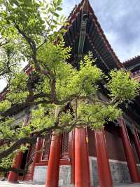 The Lama Temple