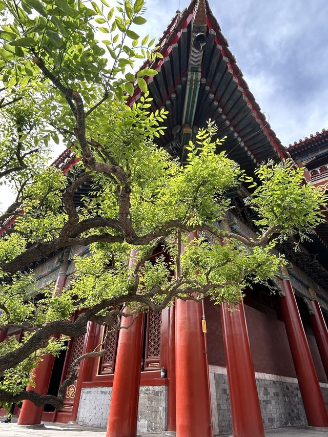 The Lama Temple