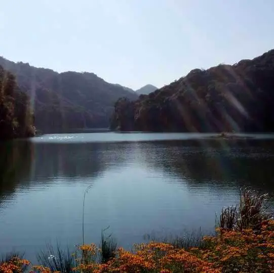 打卡廣州石門森林公園