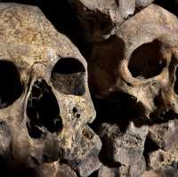 Catacombs of Paris always amazes!