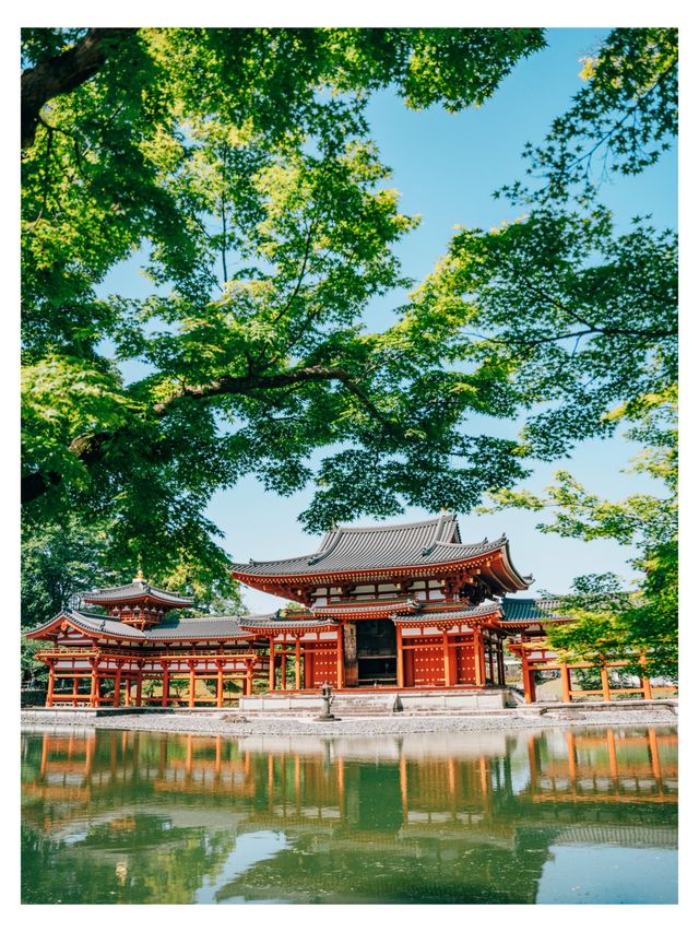 Not just matcha! Experience the blooming early summer in Uji.