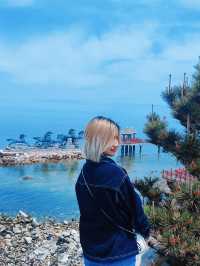 Yangma Island: May Escape 🏝️🚗🌊