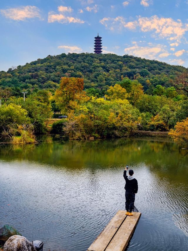 秋色正濃不想工作就來南京這處世外桃源吧