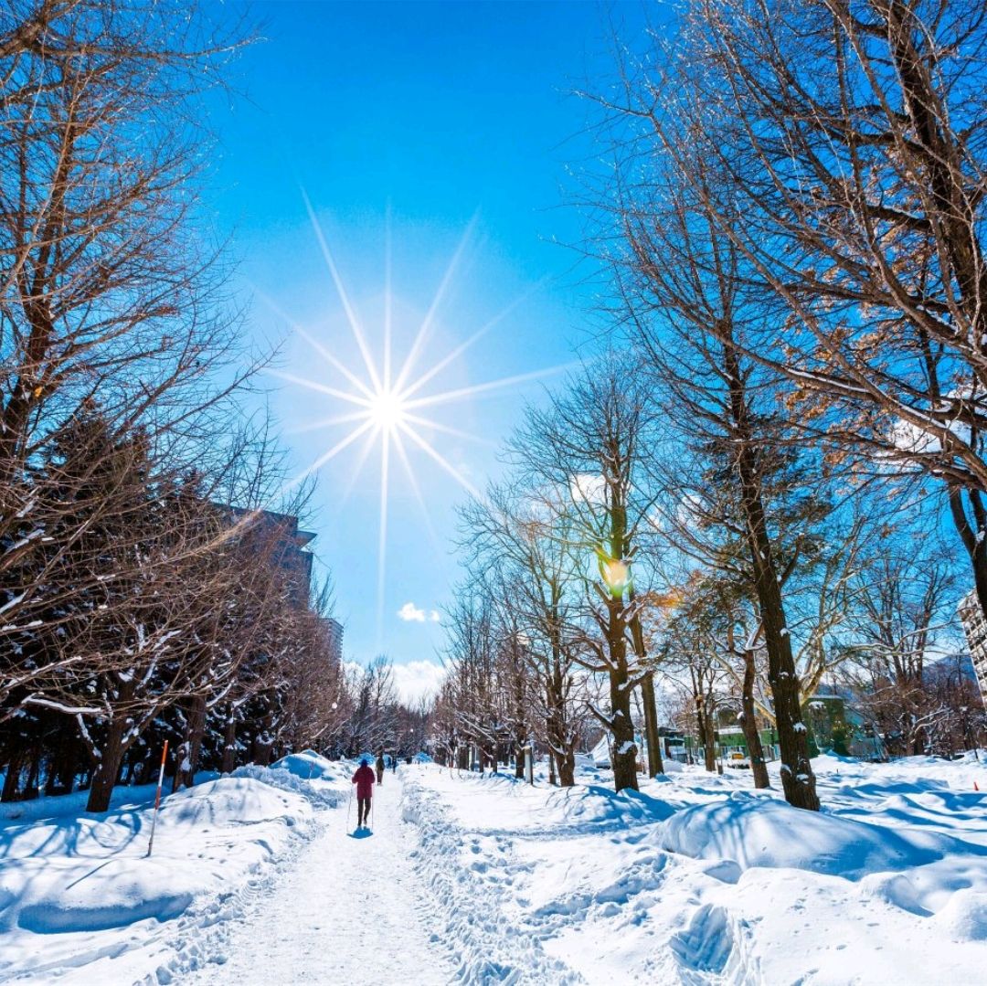 Sapporo Travel Guide 2024 - Things to Do, What To Eat & Tips | Trip.com