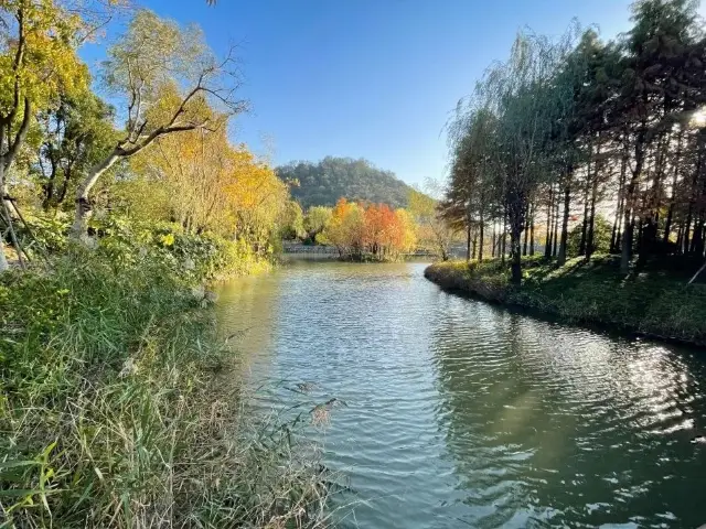 初冬の詩的でロマンチックな雰囲気はすべて、狼山森林公園に隠されています