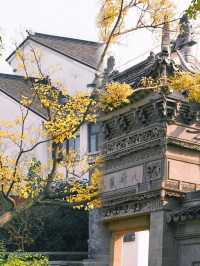 不是日本,真的真的是上海!!