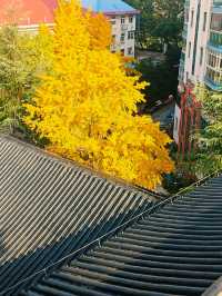 華嚴寺