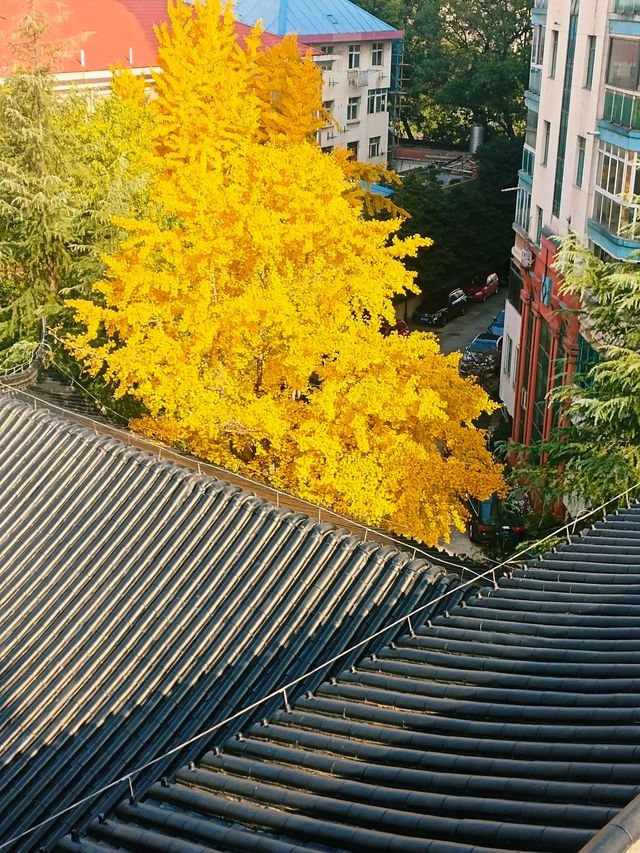 華嚴寺