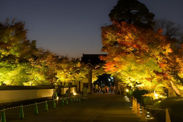 【京都·永觀堂·禪林寺·夜光版·2023】