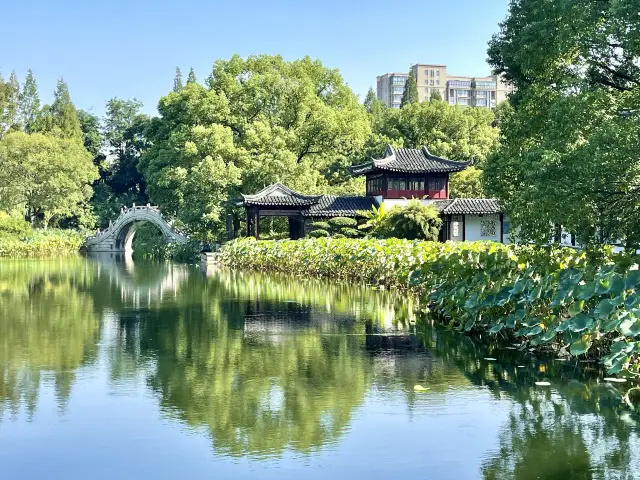 The world's number one Guqin Tower