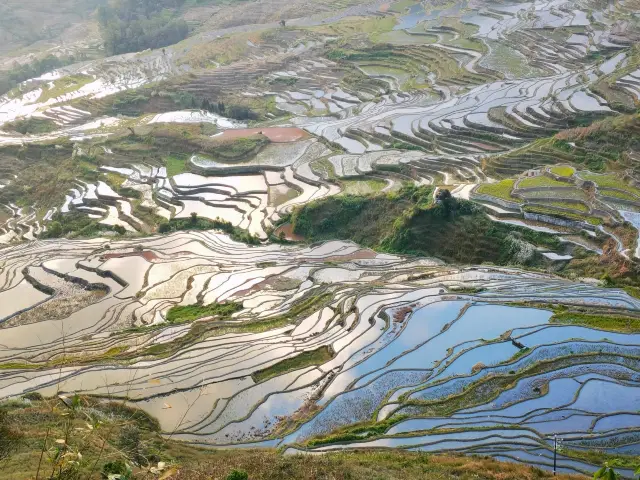 Five-day Travel Guide to Yuanyang Rice Terraces in Yunnan
