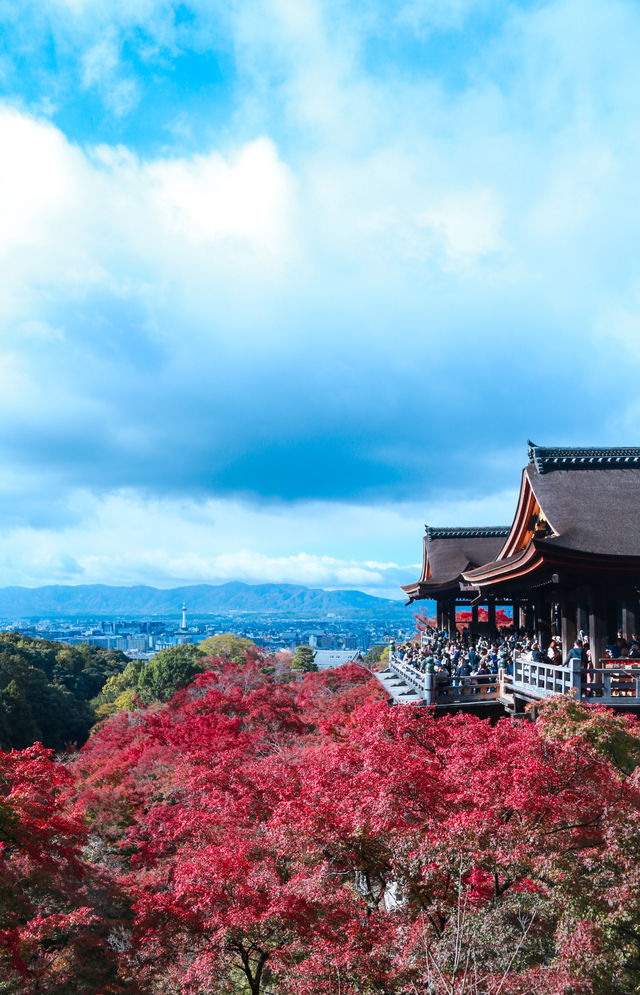 東京-鎌倉-箱根-京都-奈良-大阪