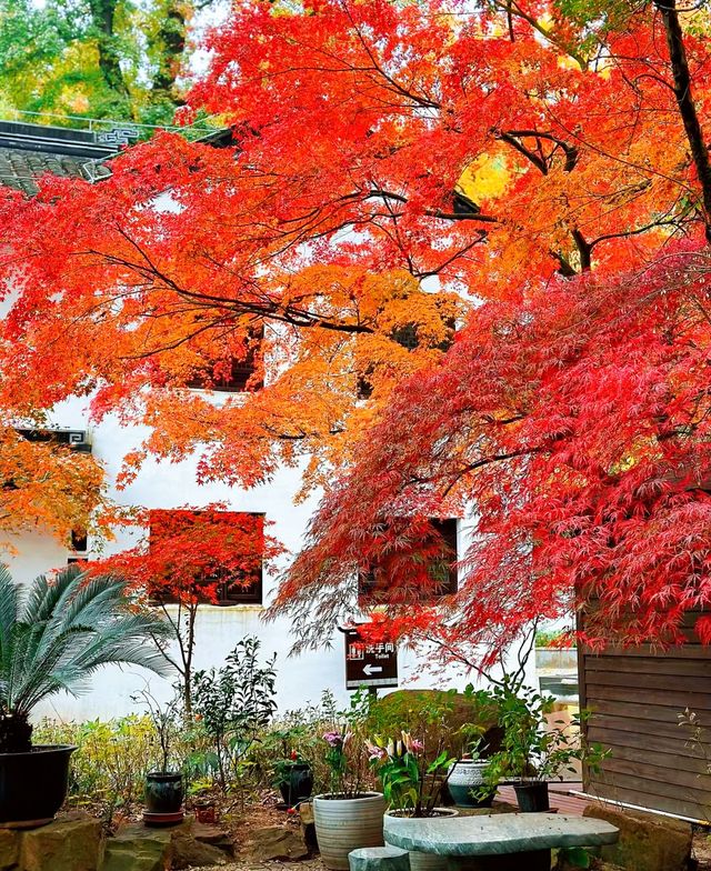 清晨入古寺，初日照高林