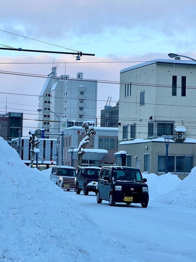 🇯🇵 北海道 旭川｜冷門  但 巨美！！！！