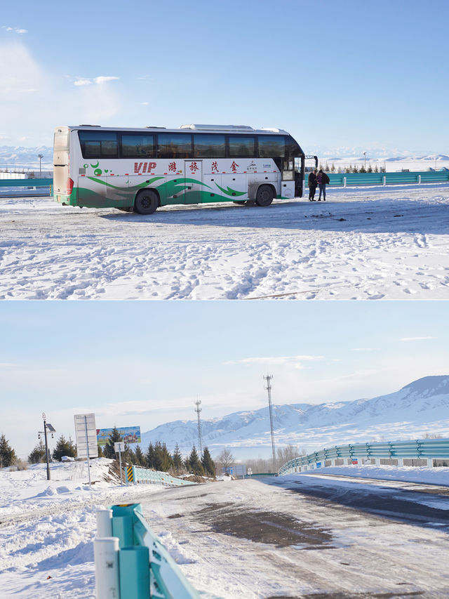 新疆伊犁昭蘇不僅有天馬還有馬踏飛雪