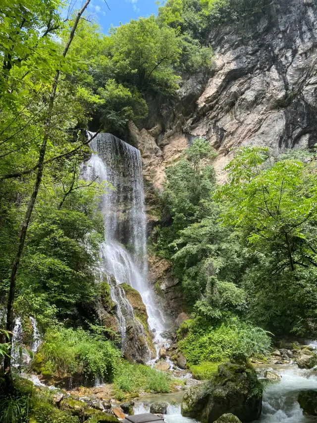 The call of the wild, the primal impulse, Shennongjia!