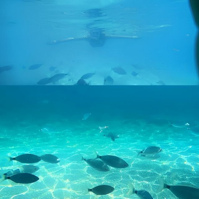 撒丁島：清澈海水與美麗海灘的天堂