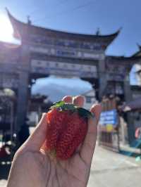 大理親子游，放空的6天5晚！