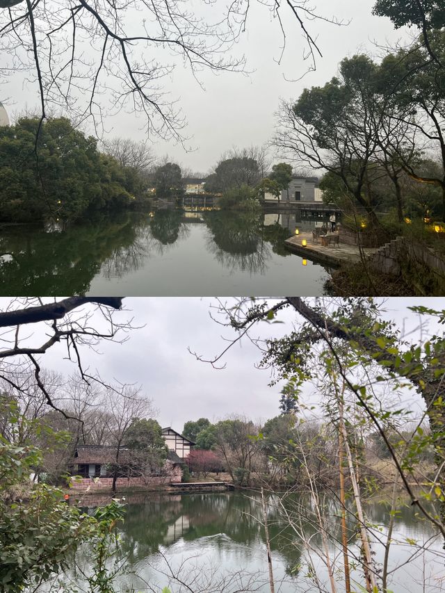 杭州！西溪！人均399兩人平價又好住！值哭