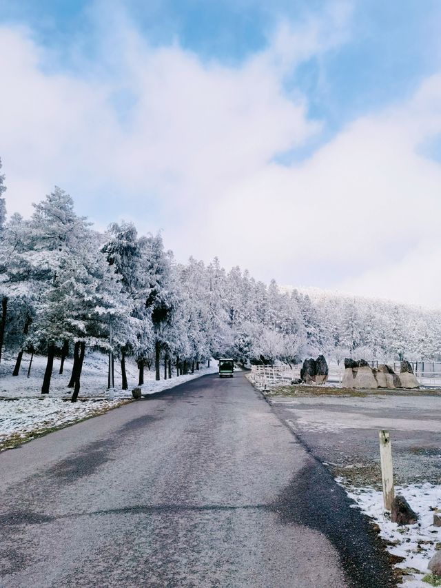 南方人也有自己的冰雪王國了