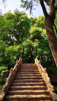 “滬東小西湖”——楊浦公園