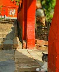 山西之旅—永济萬固寺