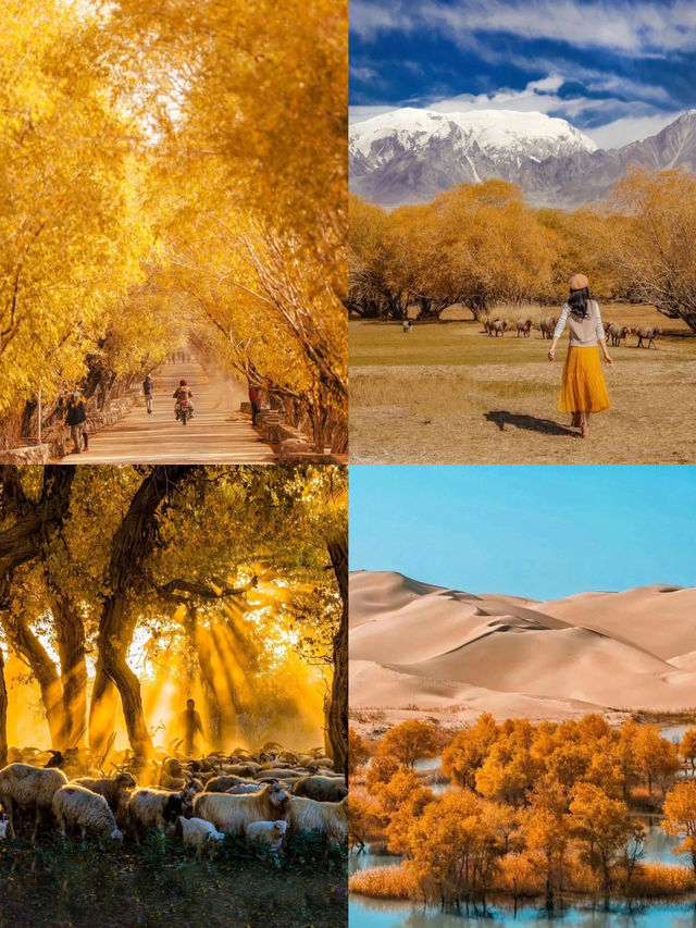 為什麼一定要推薦去新疆的秋天？