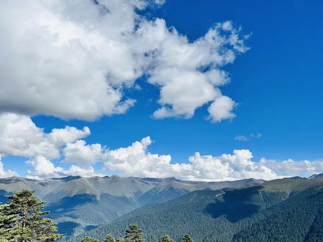 西藏林芝泰|魯朗林海日美到像來到了瑞士