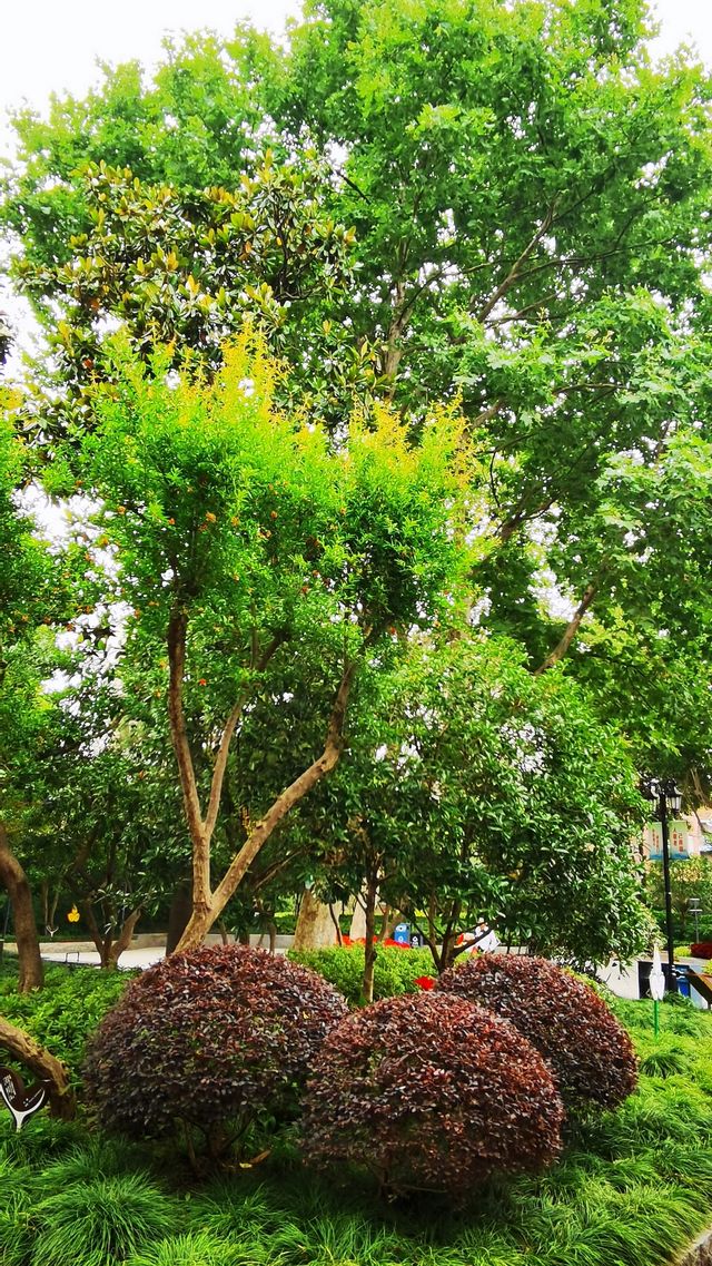 霍山公園：曾經的猶太難民活動聚會之地