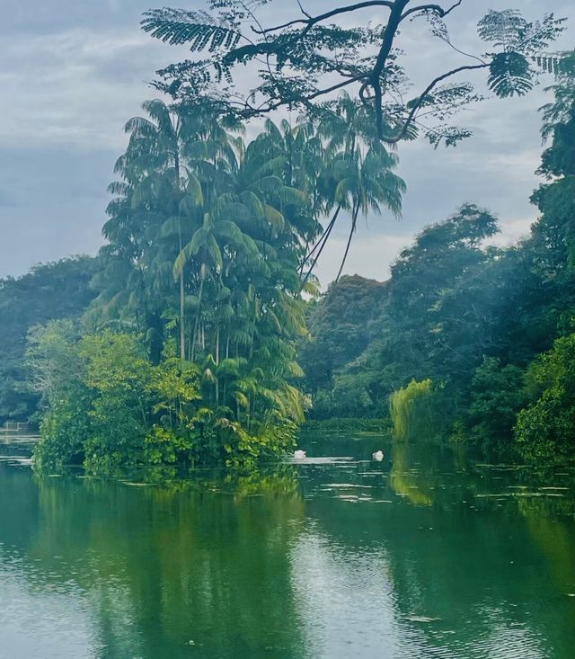 新加坡首個被列為的世界遺產｜新加坡植物園