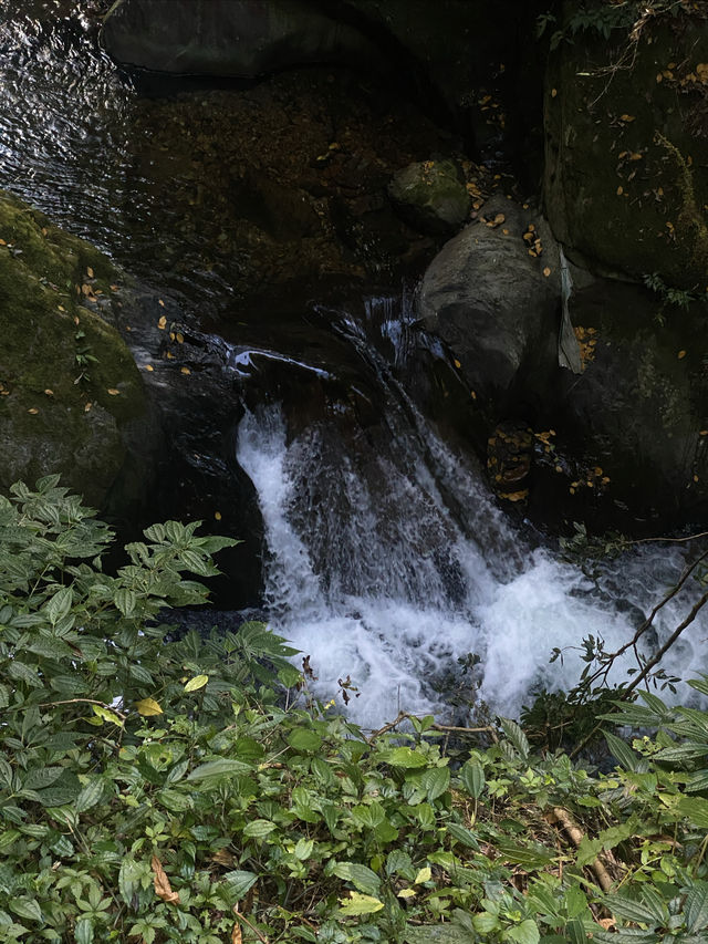 昆明周邊｜玉溪雲海日出哀牢山徒步𝟮天攻略