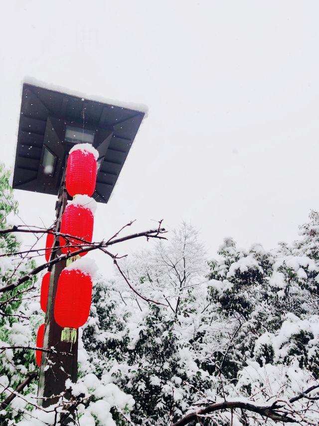 綿陽的雪：冬日童話