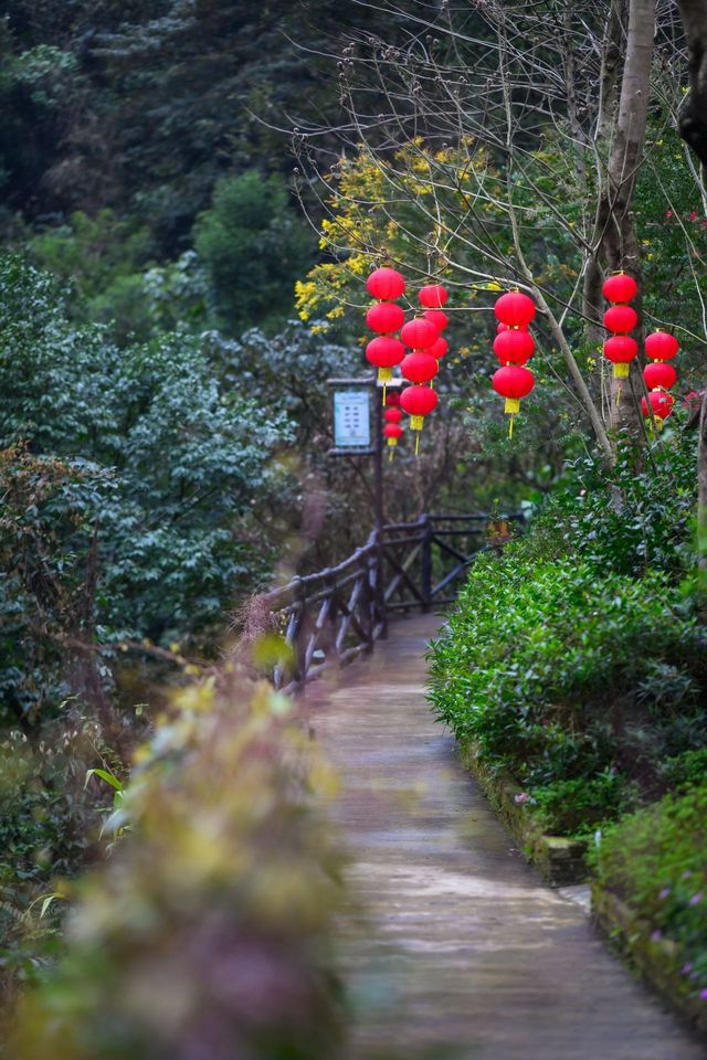 春節親子遊，清遠筆架山兩天一夜，玩到不想走