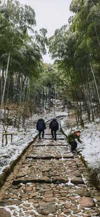徒步杭州最美森林古道：徑山古道