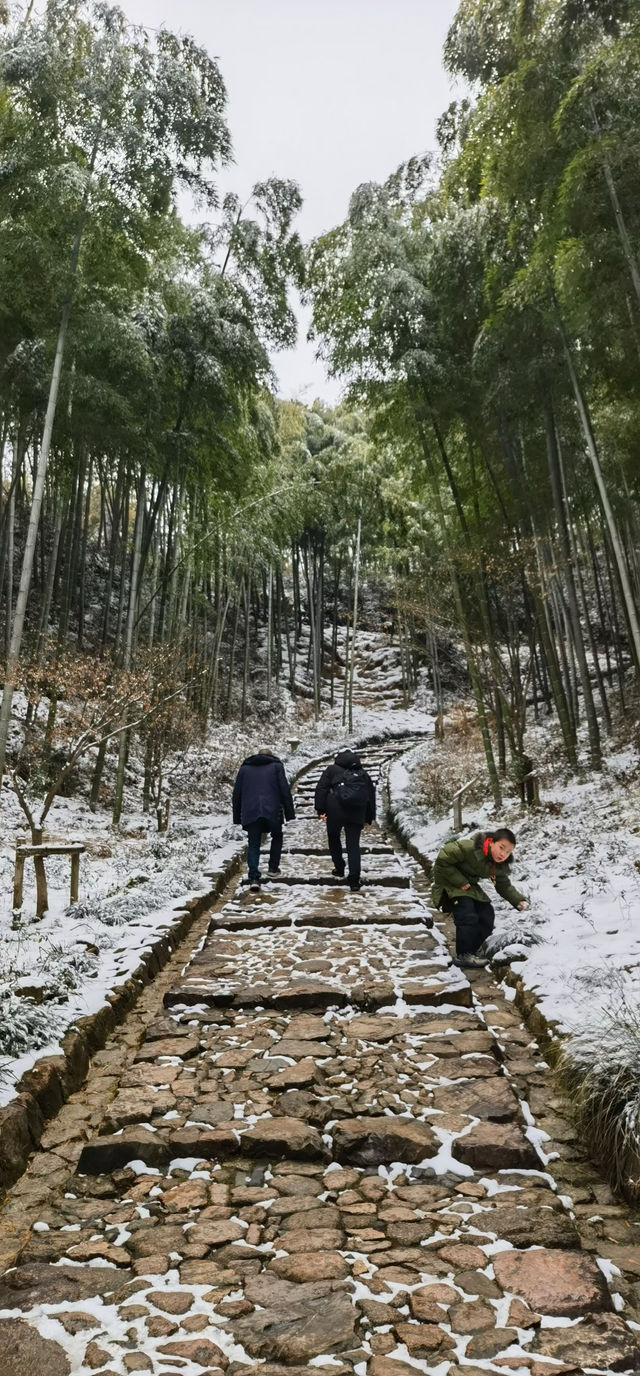 徒步杭州最美森林古道：徑山古道