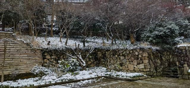 徒步杭州最美森林古道：徑山古道