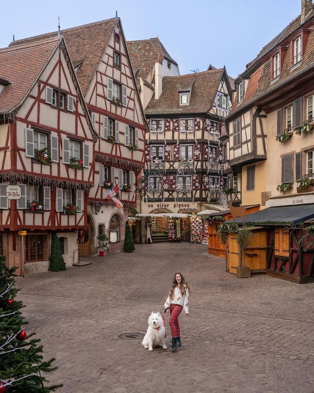 Best of Alsace during Christmas 🎅🎄 Which photo is your fave? ❤️