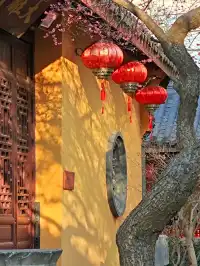 湖州鐵佛寺 | 江南最有靈性的梅花盛開